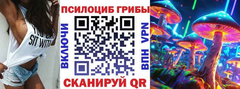 где найти   Архангельск  Галлюциногенные грибы Magic Shrooms 