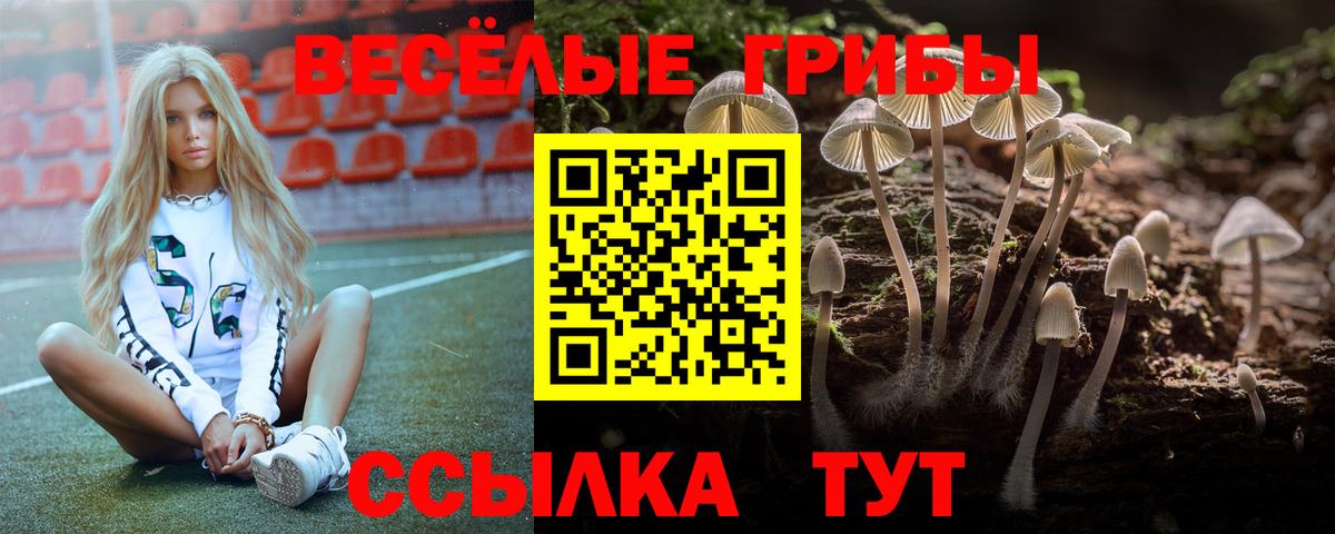 Галлюциногенные грибы прущие грибы Архангельск